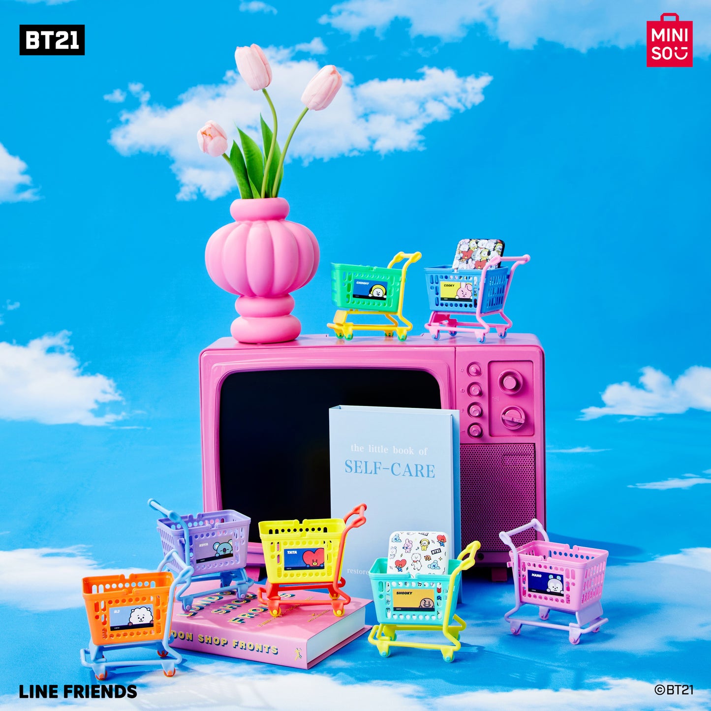 BT21 - Bevásárlókocsi Tároló